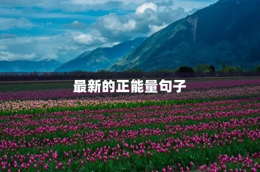 最新的正能量句子(正能量阳光心态的句子) 最新的正能量句子(正能量阳光心态的句子)