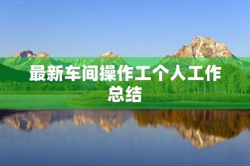 最新车间操作工个人工作总结