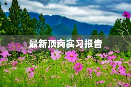最新顶岗实习报告(10篇) 最新顶岗实习报告(10篇)