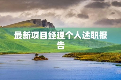 最新项目经理个人述职报告
