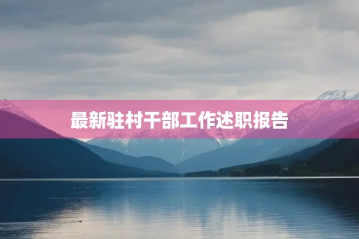 最新驻村干部工作述职报告