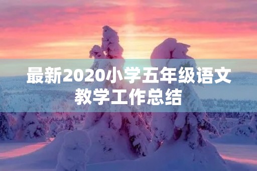 最新2020小学五年级语文教学工作总结