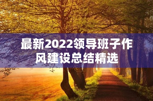 最新2022领导班子作风建设总结精选