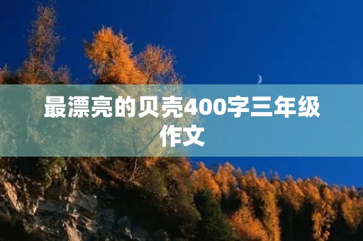 最漂亮的贝壳400字三年级作文