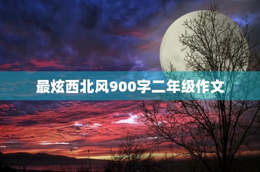 最炫西北风900字二年级作文 最炫西北风900字二年级作文