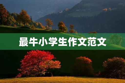 最牛小学生作文范文 最牛小学生作文范文