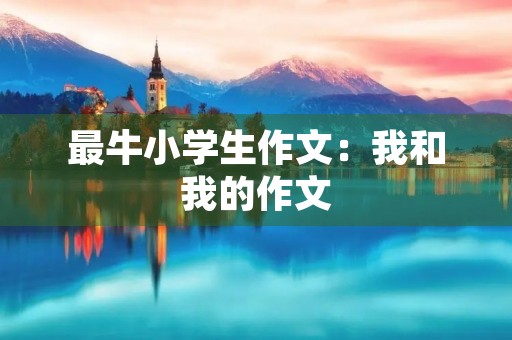 最牛小学生作文：我和我的作文