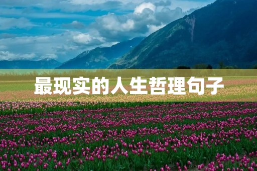 最现实的人生哲理句子，社会太现实,人心太复杂