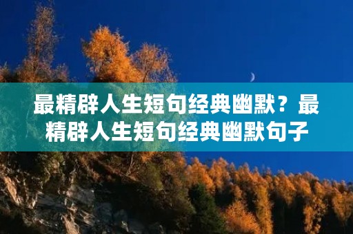 最精辟人生短句经典幽默？最精辟人生短句经典幽默句子