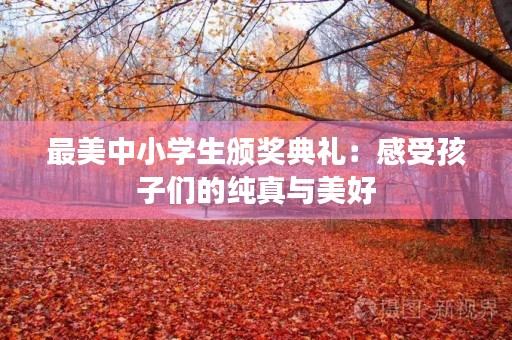 最美中小学生颁奖典礼：感受孩子们的纯真与美好