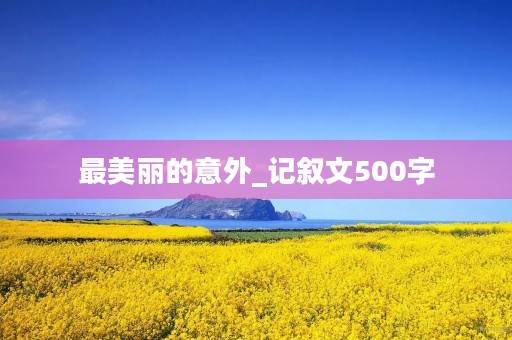 最美丽的意外_记叙文500字 最美丽的意外_记叙文500字
