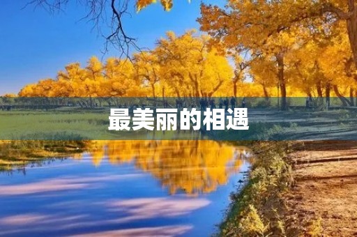 最美丽的相遇 最美丽的相遇