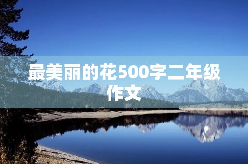 最美丽的花500字二年级作文