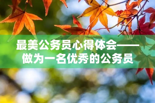 最美公务员心得体会——做为一名优秀的公务员，我有感而发