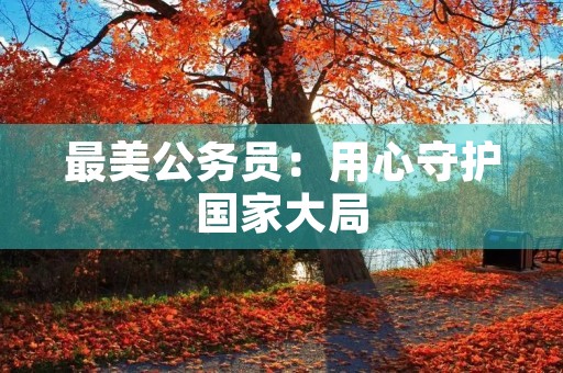 最美公务员：用心守护国家大局