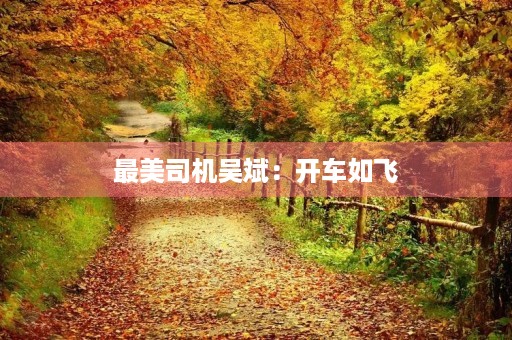 最美司机吴斌：开车如飞，心系乘客