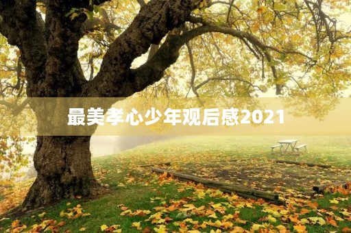 最美孝心少年观后感2021