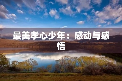 最美孝心少年:感动与感悟 最美孝心少年:感动与感悟