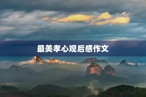 最美孝心观后感作文