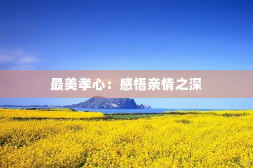 最美孝心:感悟亲情之深,思考人生之意 最美孝心:感悟亲情之深,思考人生之意