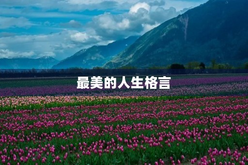最美的人生格言(最美的人生格言句句穿心)