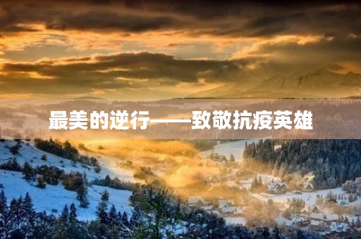 最美的逆行——致敬抗疫英雄