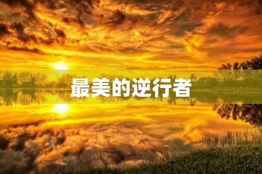 最美的逆行者 最美的逆行者