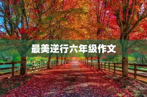 最美逆行六年级作文 最美逆行六年级作文