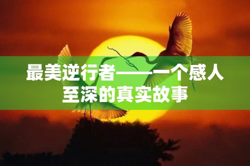 最美逆行者——一个感人至深的真实故事 最美逆行者——一个感人至深的真实故事