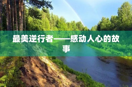 最美逆行者——感动人心的故事 最美逆行者——感动人心的故事