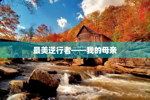 最美逆行者——我的母亲 最美逆行者——我的母亲
