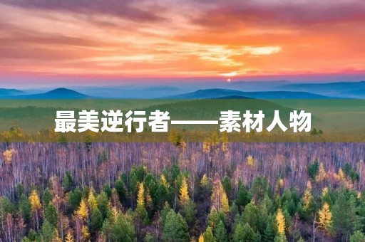 最美逆行者——素材人物 最美逆行者——素材人物