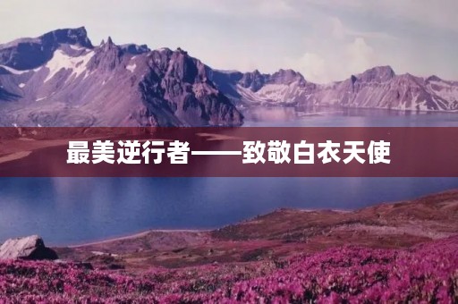 最美逆行者——致敬白衣天使