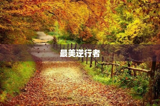 最美逆行者,致敬您! 最美逆行者,致敬您!