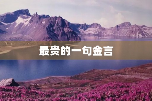 最贵的一句金言(最贵的一句话) 最贵的一句金言(最贵的一句话)