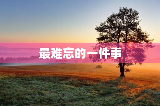 最难忘的一件事 最难忘的一件事