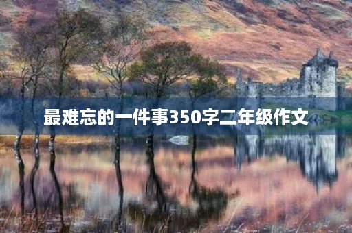 最难忘的一件事350字二年级作文