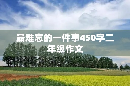 最难忘的一件事450字二年级作文