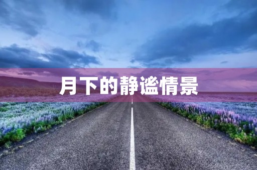 月下的静谧情景 月下的静谧情景