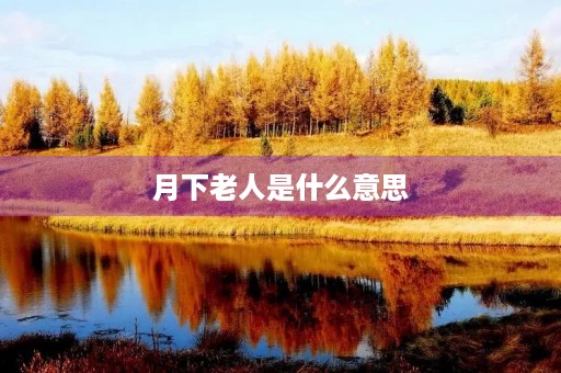月下老人是什么意思 月下老人是什么意思
