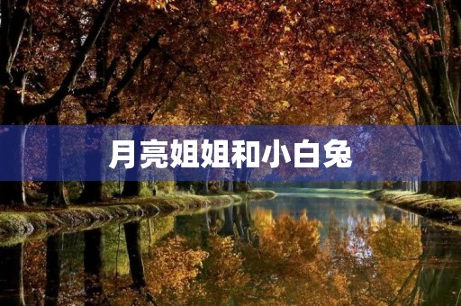 月亮姐姐和小白兔 月亮姐姐和小白兔