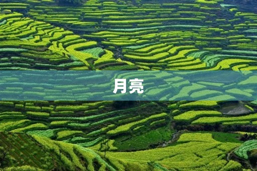 月亮，那个默默无言的存在，总是让人感到神秘而又美丽。她伴随着我们度过每一个夜晚，有时明亮如白昼，有时又黯淡无光。在我眼中，月亮是一位神秘的女子，她总是那么美丽而又寂静。