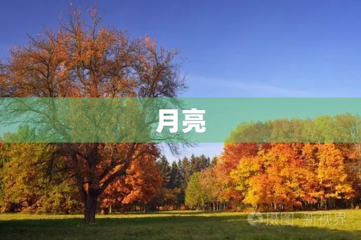 月亮,那永恒的朦胧之美 月亮,那永恒的朦胧之美