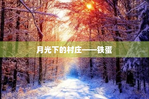 月光下的村庄——铁蛋 月光下的村庄——铁蛋