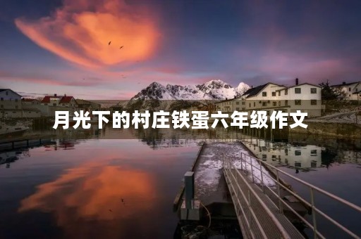 月光下的村庄铁蛋六年级作文