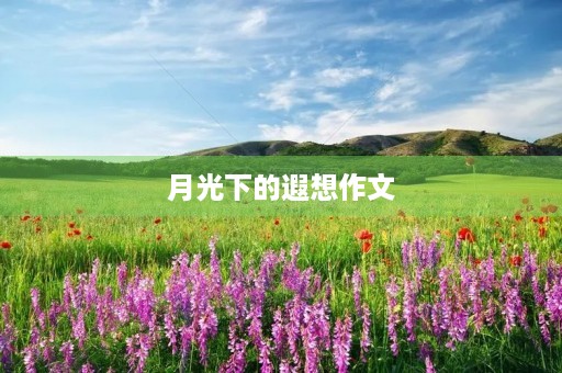 月光下的遐想作文