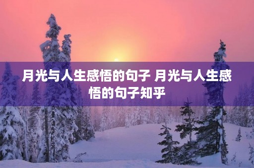 月光与人生感悟的句子 月光与人生感悟的句子知乎 月光与人生感悟的句子 月光与人生感悟的句子知乎