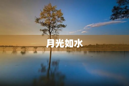 月光如水，皎洁如银，闪耀人间——描写月亮的作文