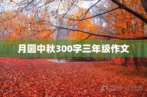 月圆中秋300字三年级作文