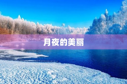 月夜的美丽 月夜的美丽